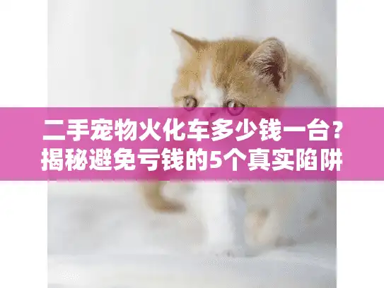 二手宠物火化车多少钱一台？揭秘避免亏钱的5个真实陷阱