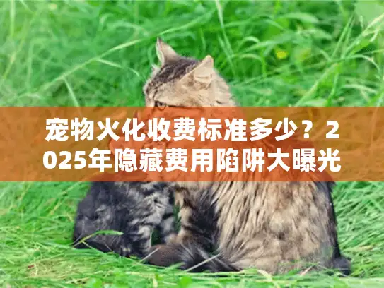 宠物火化收费标准多少？2025年隐藏费用陷阱大曝光