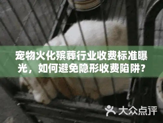 宠物火化殡葬行业收费标准曝光，如何避免隐形收费陷阱？