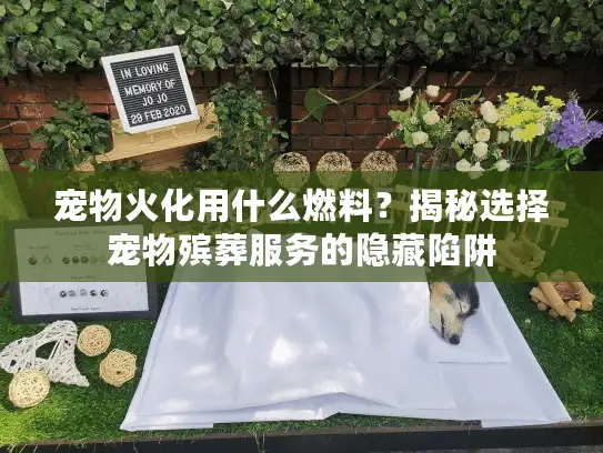 宠物火化用什么燃料？揭秘选择宠物殡葬服务的隐藏陷阱