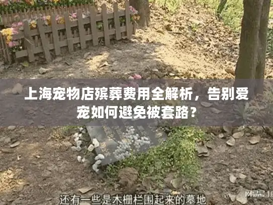 上海宠物店殡葬费用全解析，告别爱宠如何避免被套路？