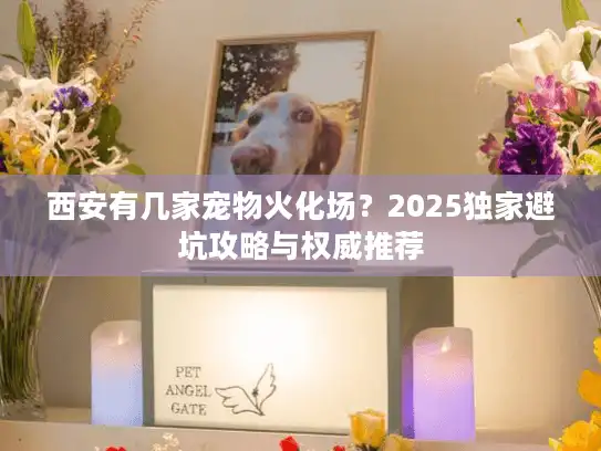 西安有几家宠物火化场？2025独家避坑攻略与权威推荐