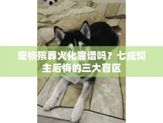 宠物殡葬火化靠谱吗？七成饲主后悔的三大盲区