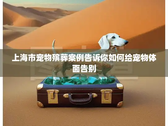 上海市宠物殡葬案例告诉你如何给宠物体面告别