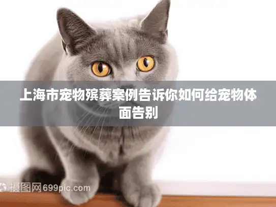 上海市宠物殡葬案例告诉你如何给宠物体面告别