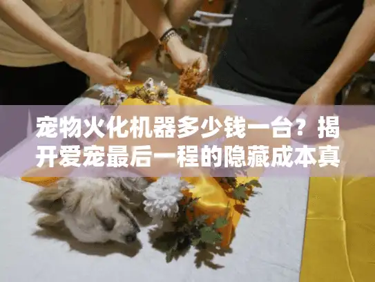 宠物火化机器多少钱一台？揭开爱宠最后一程的隐藏成本真相