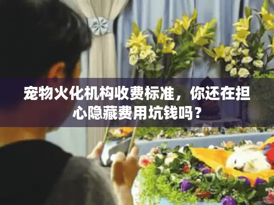 宠物火化机构收费标准，你还在担心隐藏费用坑钱吗？