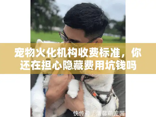 宠物火化机构收费标准，你还在担心隐藏费用坑钱吗？