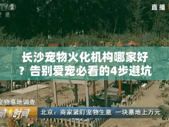 长沙宠物火化机构哪家好？告别爱宠必看的4步避坑指南