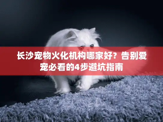 长沙宠物火化机构哪家好？告别爱宠必看的4步避坑指南