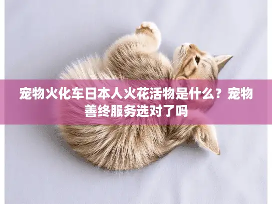 宠物火化车日本人火花活物是什么？宠物善终服务选对了吗