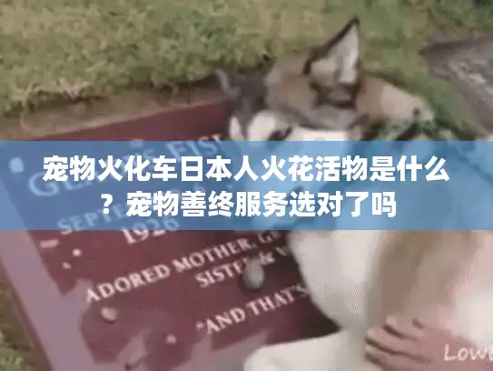 宠物火化车日本人火花活物是什么？宠物善终服务选对了吗