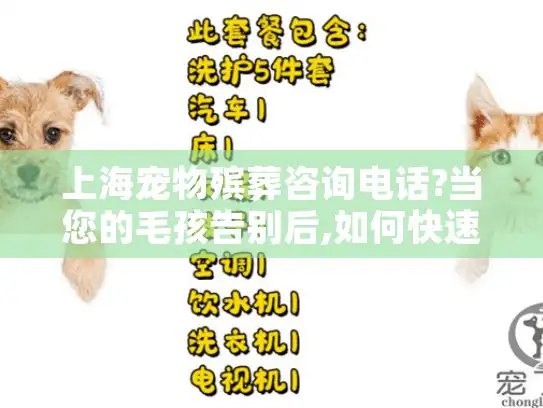 上海宠物殡葬咨询电话?当您的毛孩告别后,如何快速找到可靠服务