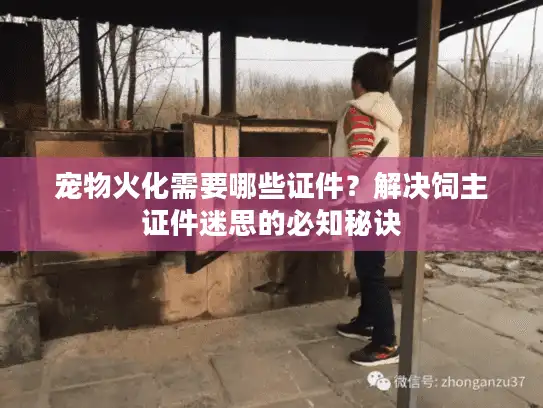 宠物火化需要哪些证件？解决饲主证件迷思的必知秘诀
