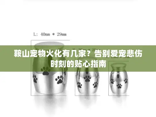 鞍山宠物火化有几家？告别爱宠悲伤时刻的贴心指南
