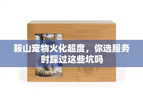 鞍山宠物火化超度，你选服务时踩过这些坑吗