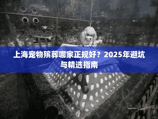 上海宠物殡葬哪家正规好？2025年避坑与精选指南