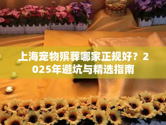 上海宠物殡葬哪家正规好？2025年避坑与精选指南