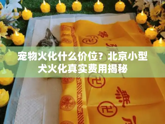 宠物火化什么价位？北京小型犬火化真实费用揭秘