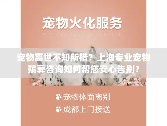 宠物离世不知所措？上海专业宠物殡葬咨询如何帮您安心告别？