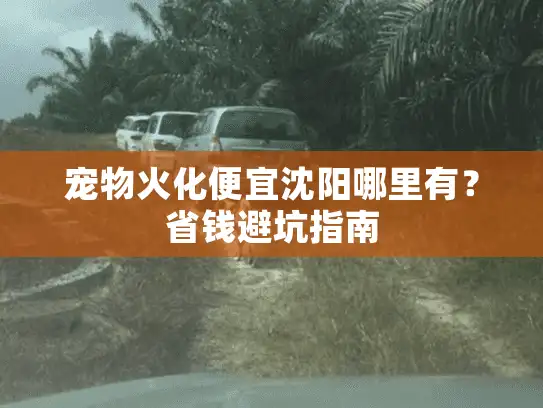 宠物火化便宜沈阳哪里有？省钱避坑指南