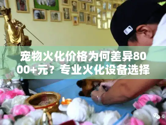 宠物火化价格为何差异8000+元？专业火化设备选择透明指南