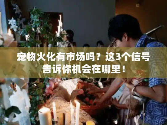 宠物火化有市场吗？这3个信号告诉你机会在哪里！