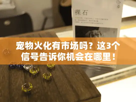宠物火化有市场吗？这3个信号告诉你机会在哪里！