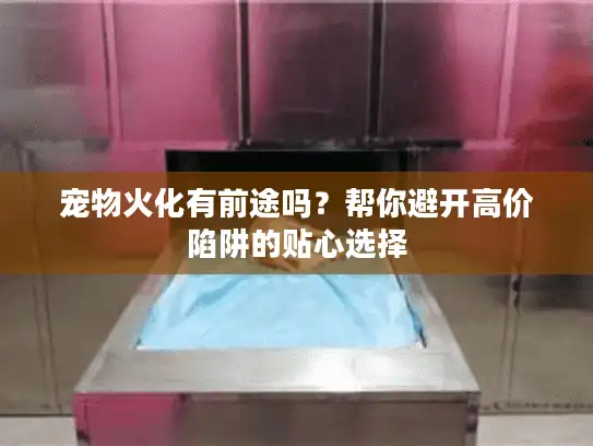 宠物火化有前途吗？帮你避开高价陷阱的贴心选择