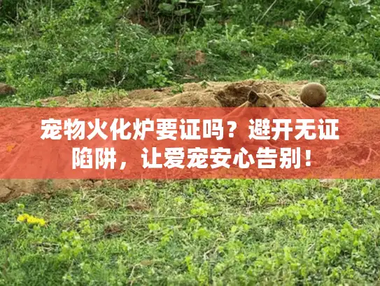 宠物火化炉要证吗？避开无证陷阱，让爱宠安心告别！