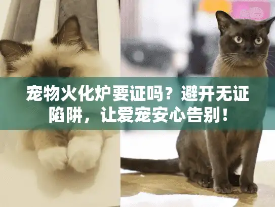 宠物火化炉要证吗？避开无证陷阱，让爱宠安心告别！