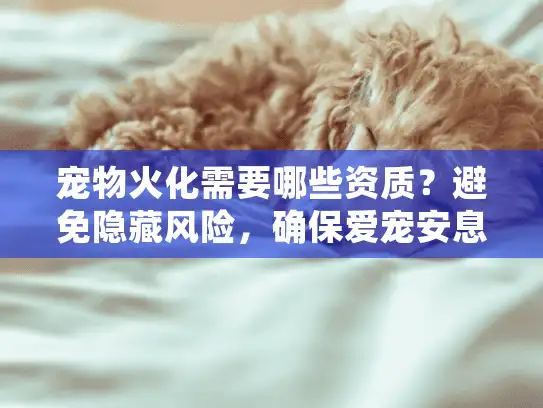 宠物火化需要哪些资质？避免隐藏风险，确保爱宠安息