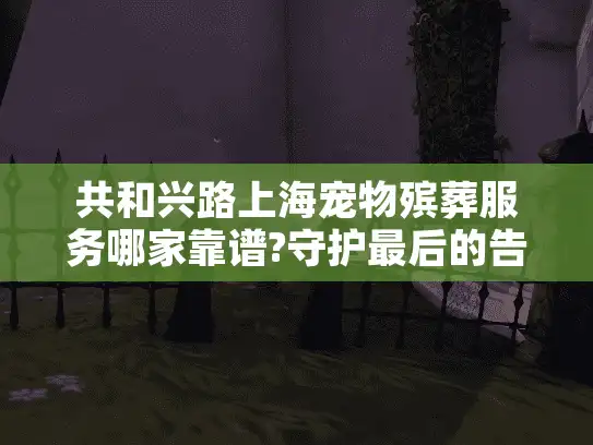 共和兴路上海宠物殡葬服务哪家靠谱?守护最后的告别尊严