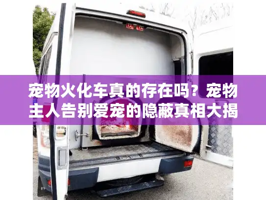 宠物火化车真的存在吗？宠物主人告别爱宠的隐蔽真相大揭秘