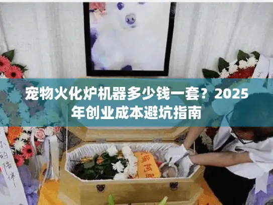 宠物火化炉机器多少钱一套？2025年创业成本避坑指南