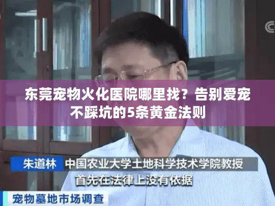 东莞宠物火化医院哪里找？告别爱宠不踩坑的5条黄金法则
