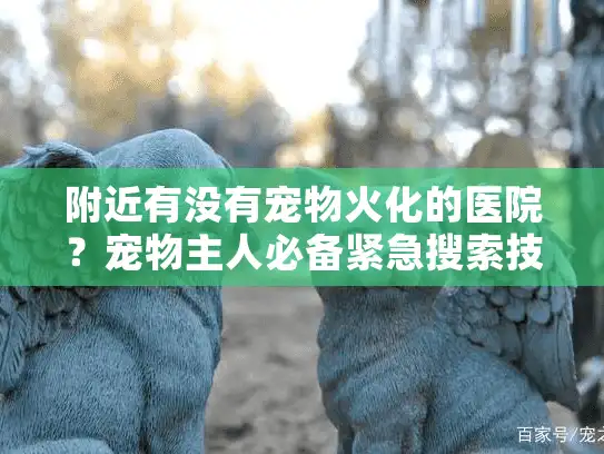 附近有没有宠物火化的医院？宠物主人必备紧急搜索技巧