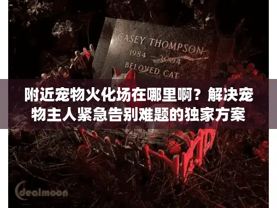 附近宠物火化场在哪里啊？解决宠物主人紧急告别难题的独家方案