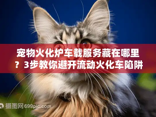 宠物火化炉车载服务藏在哪里？3步教你避开流动火化车陷阱