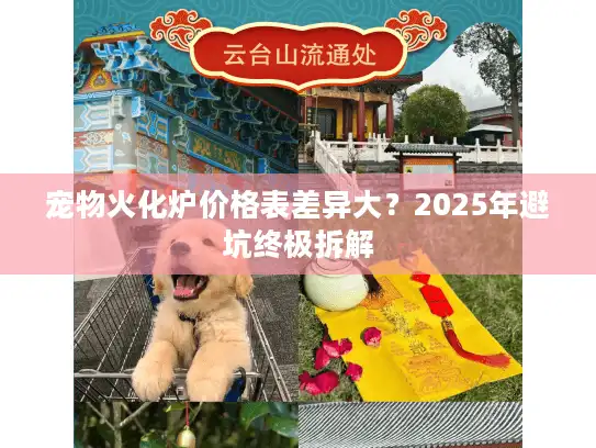 宠物火化炉价格表差异大？2025年避坑终极拆解