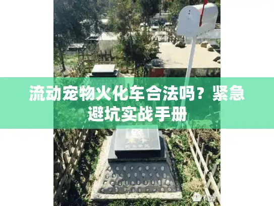 流动宠物火化车合法吗？紧急避坑实战手册