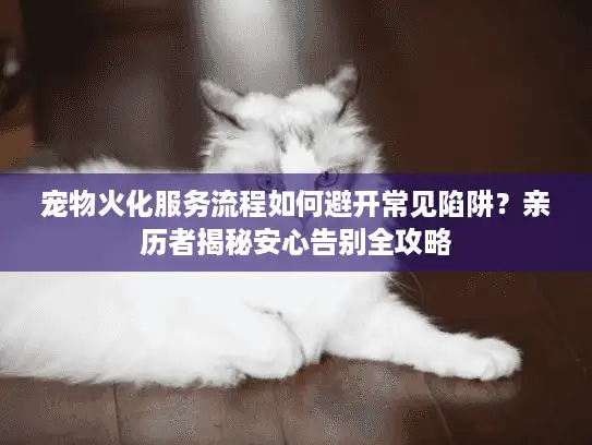 宠物火化服务流程如何避开常见陷阱？亲历者揭秘安心告别全攻略