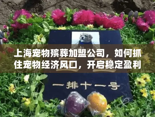 上海宠物殡葬加盟公司，如何抓住宠物经济风口，开启稳定盈利模式？