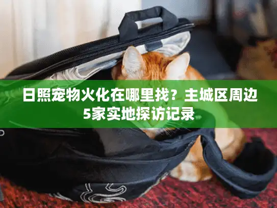 日照宠物火化在哪里找？主城区周边5家实地探访记录