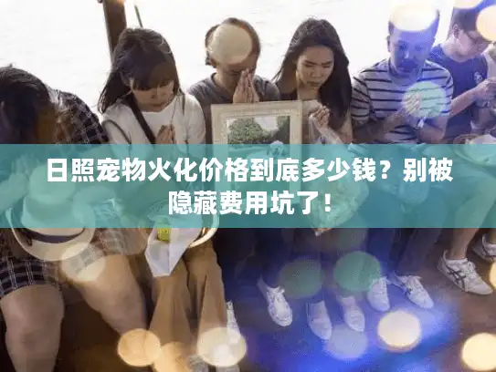 日照宠物火化价格到底多少钱？别被隐藏费用坑了！