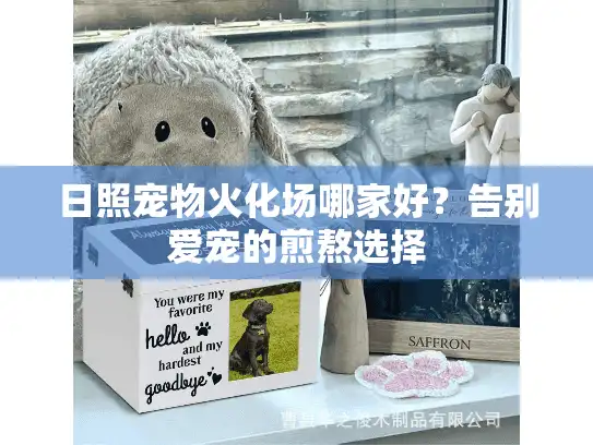 日照宠物火化场哪家好？告别爱宠的煎熬选择