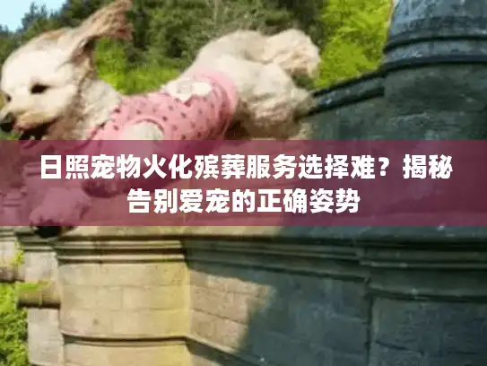日照宠物火化殡葬服务选择难？揭秘告别爱宠的正确姿势