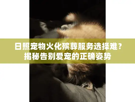 日照宠物火化殡葬服务选择难？揭秘告别爱宠的正确姿势