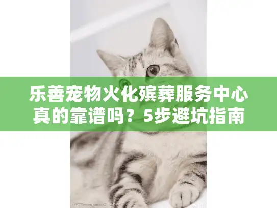 乐善宠物火化殡葬服务中心真的靠谱吗？5步避坑指南让告别不遗憾