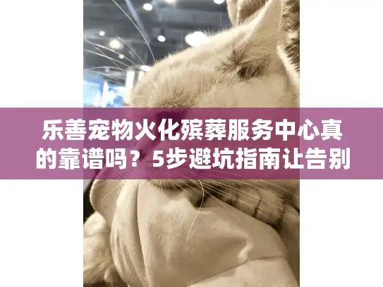 乐善宠物火化殡葬服务中心真的靠谱吗？5步避坑指南让告别不遗憾